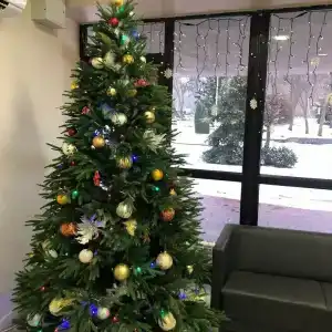 Калининградпрофкурорт - 41