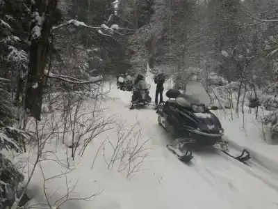 Снегоходия - 4