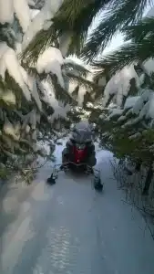 Снегоходия - 8