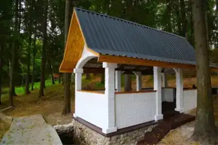 Серебряный родник - 39