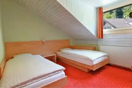 des alpes Fiesch - 1
