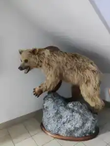 Норд Пилигрим - 39