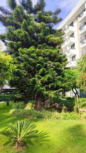 Meryan - Ultra All Inclusive - 23