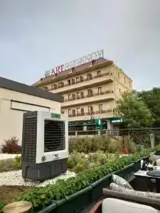 Art Regency Premium Free Airport Service - 8