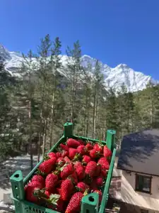 Mountfeel - 3