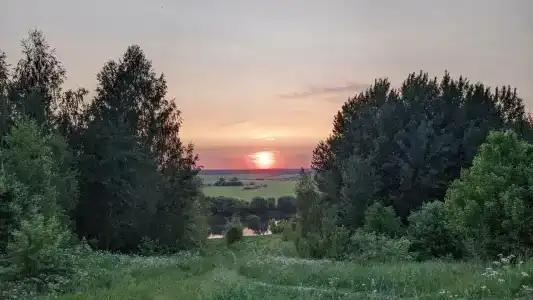 Кирицы - 12