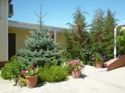 Лукулл - 35