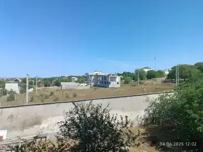 Царское Село - 30