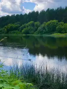 Устьяны - 34