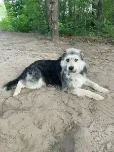 База отдыха на воде Оланга - 96