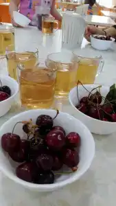 Пионер - 43