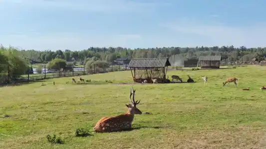 Львовские озера - 34