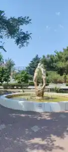 Лавандин - 31