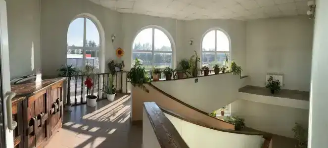 Три Льва - 6