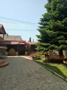 Усадьба - 48
