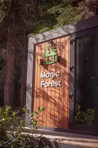 Magic Forest - 8