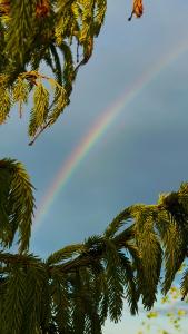 Дом Аиста - 53