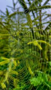 Дом Аиста - 48