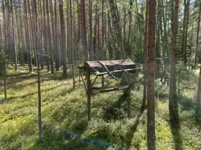 База отдыха в Гора-Валдае - 7
