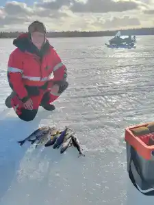 Compass Sosnovaya - 31