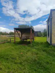 Смородина - 81