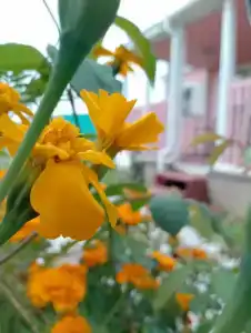 Солнечный Дом - Casa del Sole - 45