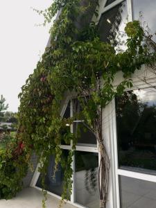 Brume House - 24