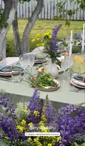 Сирин дом - 73