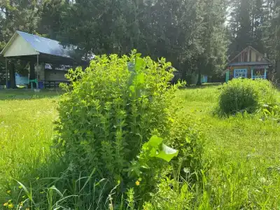 Байкузино - 23