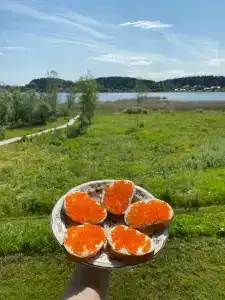 Karelia shum off - 43