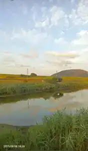 Широкая балка - 41