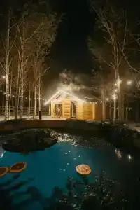 Место под соснами - 39