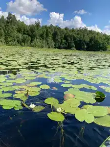 Экологическая база ННГУ - 0