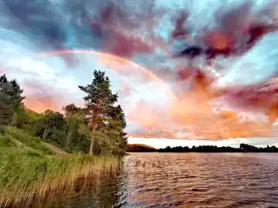 Лунный свет - 73