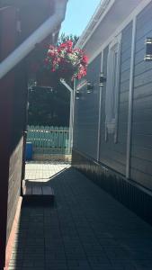 Витальница - 15