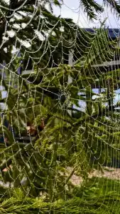 Дом Аиста - 74