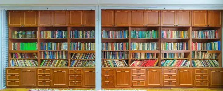 Энергетик - 25