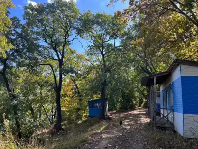 Зорька - 1