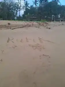 The Lucky Elephant - 10