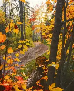 Круиз Вилладж - 6