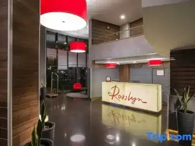 Rosslyn Dimyat Varna - 4