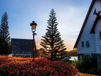 Dalat Wonder Resort - 23