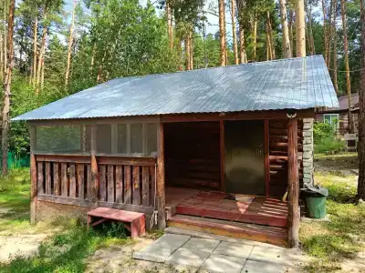 Ромашка - 46