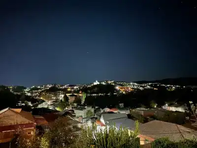 Зеленый цветок - 27