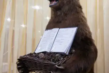 Золотой Ручей - 22