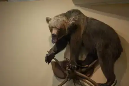 Золотой Ручей - 8