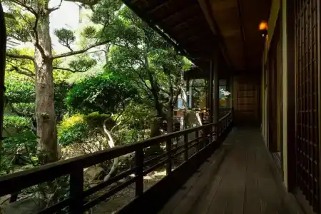 Nipponia Nara Naramachi - 21