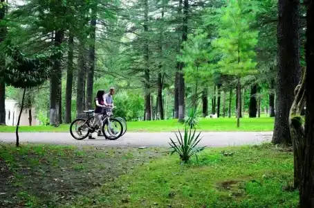 Tskaltubo Spa Resort - 15
