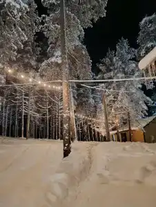 Журавушка - 45