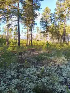 Дом с баней в деревне Горы - 33
